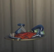 Front View of the Dish