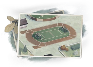 SilentSplendorSportsField