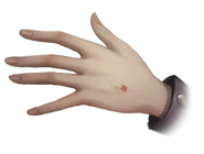 The Voyage of Oceanus Evidence: The needle mark on the back of the left hand