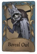 BorealOwl