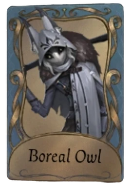 BorealOwl