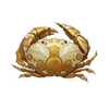 CoconutBreezePublicMapGoldenCrab