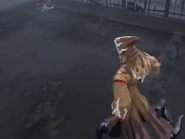 Special Effect from normal attack