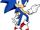 Sonic Adventure Wii