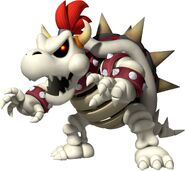 Dry Bowser