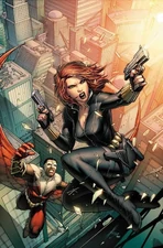 Falcon and Black Widow