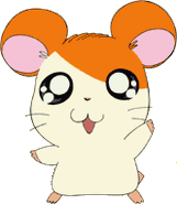 Hamtaro