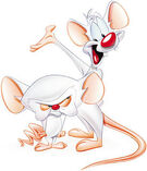 Pinky And Brain