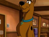 Tom and Jerry: Aloha Scooby Doo