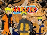 Naruto: Evolution