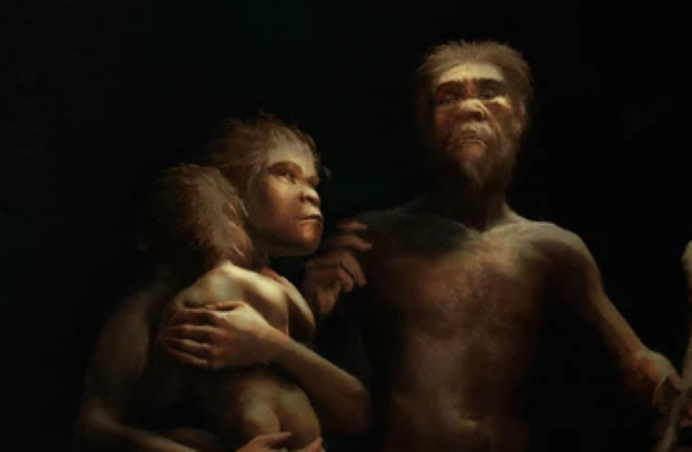 Ancestors: The Humankind Odyssey 2 | Idea Wiki | Fandom