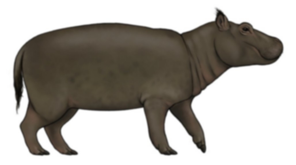 Cyprus dwarf hippopotamus (SciiFii) | Idea Wiki | Fandom