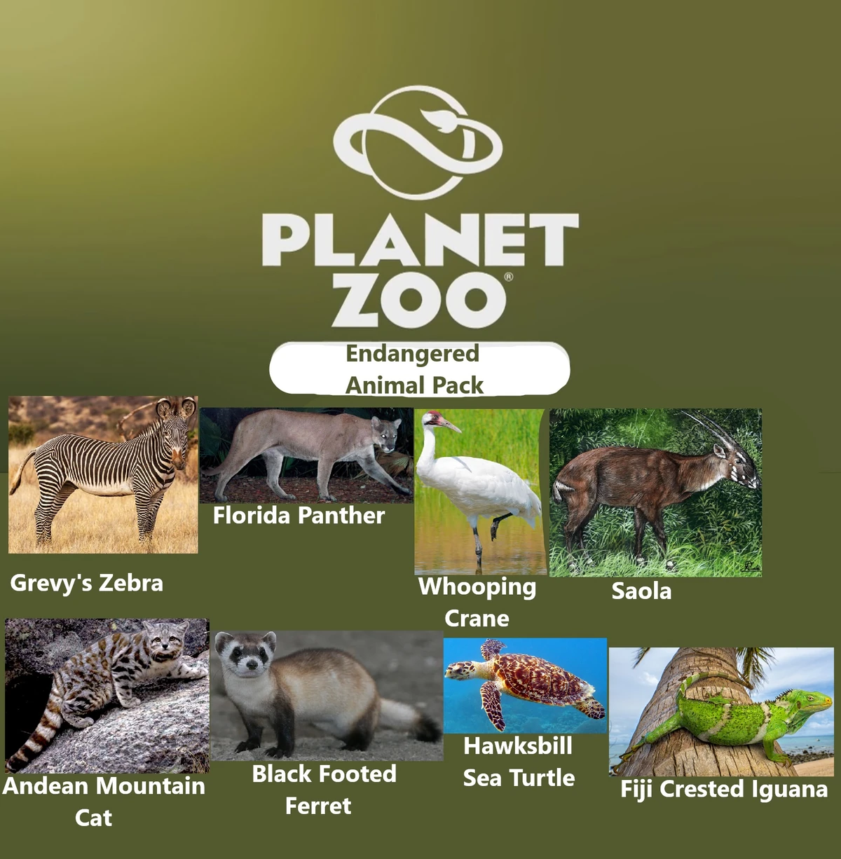 Zoo Endangered Animal Pack Idea Wiki Fandom