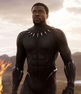 Chadwick Boseman as T'Challa