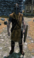 Whiterun Guard