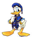 Magic Wizard Donald Duck