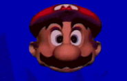 Mario Head