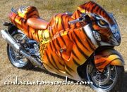 Tiger-Cycle