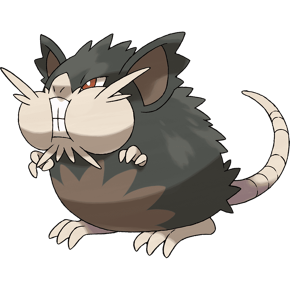 020Raticate-Alola-5b78dede4cedfd0025ffcad9