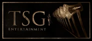 TSG Entertainment