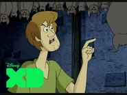 Shaggy Rogers (Disney XD).jpg (51 KB)