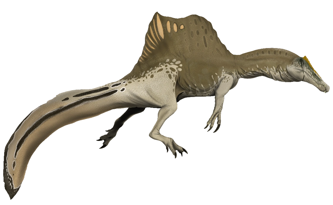 Spinosaurus V2 (SciiFii) Idea Wiki Fandom