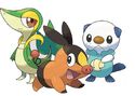 Team Pokémon: Snivy, Tepig & Oshwalott