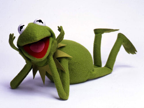 Kermit 1.jpg