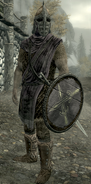 Riften Guard