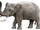 Cyprus dwarf elephant (SciiFii)