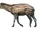 Macrauchenia (SciiFii)