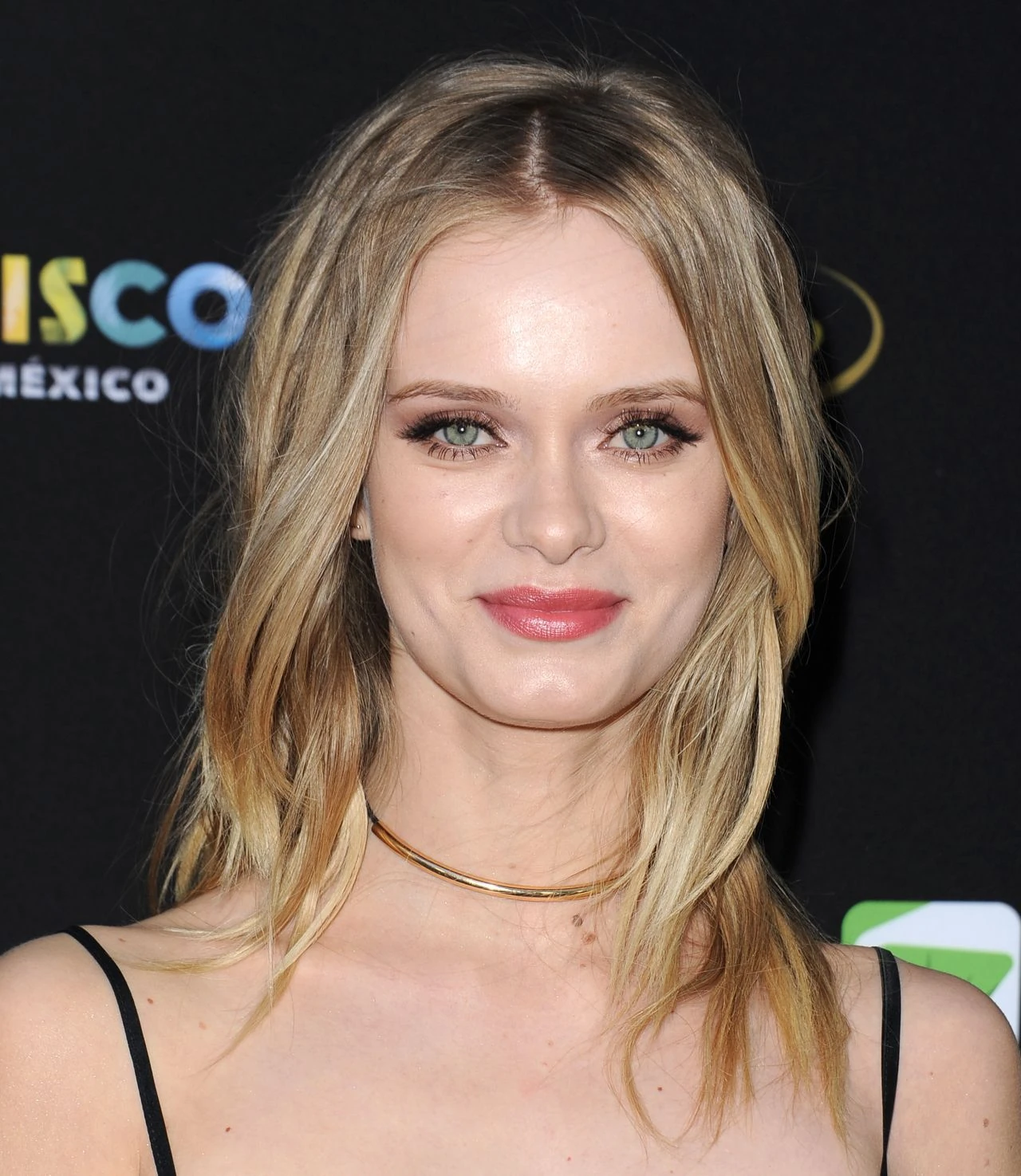 Sara Paxton Idea Wiki Fandom