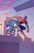 Spider-Man with Sonic the Hedgehog