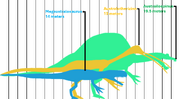 Dino sizes