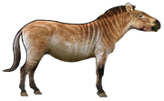 Equus simplicidens (SciiFii).png