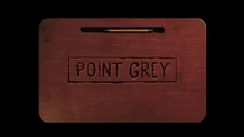 Point Grey Logo