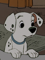 Cadpig.png