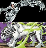 WhiteTigerH4H4