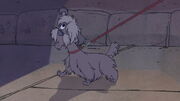 101-dalmatians-2-disneyscreencaps.com-5317.jpg