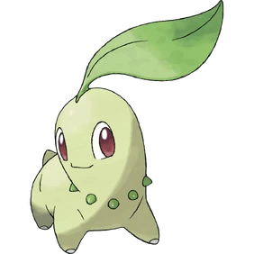 Chikorita