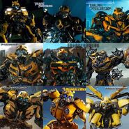 FB IMG 1687617222831 Bumblebee