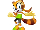 Marine the Raccoon