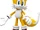 03 Sonic 3D Tails.png