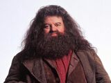 Rubeus Hagrid(How to Train Your Dragon My Version)