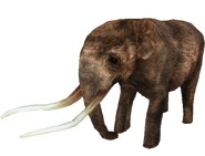 American Mastodon