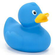 Nicky's Rubber Duckie