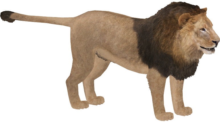 Zoo Tycoon 3, Idea Wiki