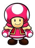 Toadette's artwork from Mario Party Advance.