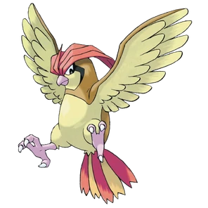 Pidgeotto