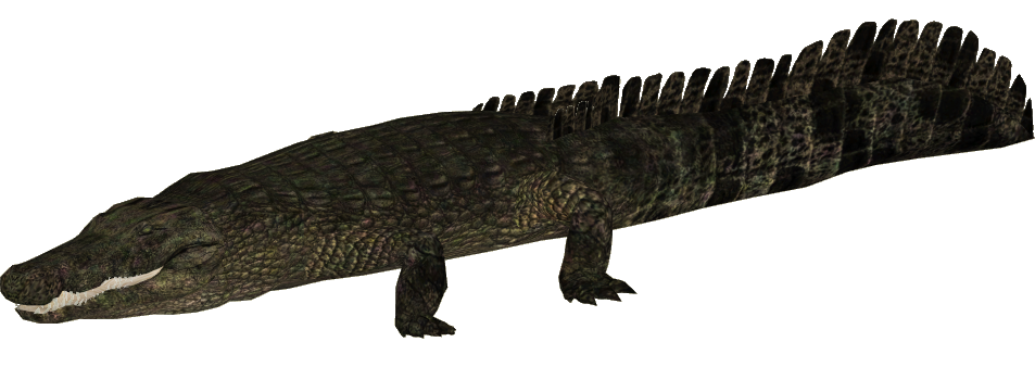 Zoo Tycoon PS4 | Idea Wiki | Fandom Zoo Tycoon PS4 | Idea Wiki | Fandom